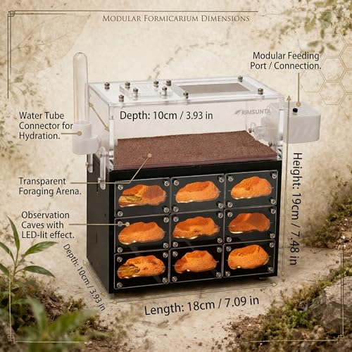 Lumen Series-Hotel with Built-in Lights and Replacement Lights with Water Feeder and Trash Box with Start Kit - size: Hotel