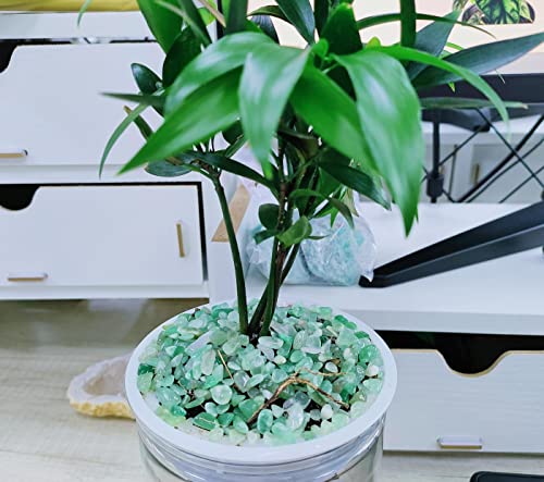 ZHIYUXI Green Aventurine Crystal Chips Bulk Fish Tank Gravel Vase Filler Stones Bulk Crushed Crystals Gemstone Polished Natural Quartz Stone Healing Crystals Glass Stones Fish Rocks - color: F# Green Aventurine, size: 0.22lbs