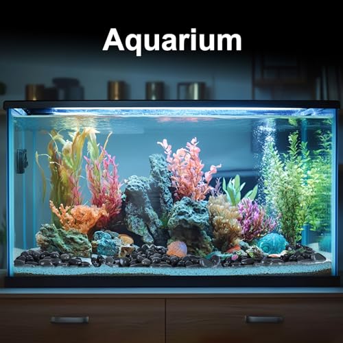 Pulovin 20 lbs River Rocks for Landscaping, Planters, 2"-3" Beach Pebbles | Natural Rocks for Aquarium, Fish Tank, Decorative Garden Stones for Plants, Flower Pots, Vase, Walkways - size: 2-3 Inch