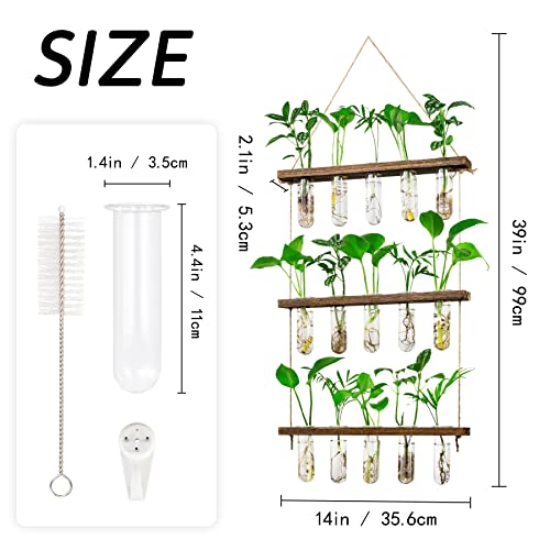 3 Tier Wall Hanging Propagation Stations with 15 Glass Test Tubes, Plant Terrarium Propagation Tubes Planter for Hydroponic Cuttings, Window Decor Gift for Plant Lovers