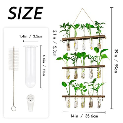 3 Tier Wall Hanging Propagation Stations with 15 Glass Test Tubes, Plant Terrarium Propagation Tubes Planter for Hydroponic Cuttings, Window Decor Gift for Plant Lovers