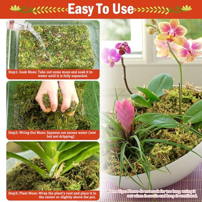 Riare 3.88OZ Premium Sphagnum Moss for Plants- 4QT Natural Dried Plant Moss | Moisture Retention & Drainage Orchid Moss for Repotting, Succulents, Carnivorous, Ferns, Green Moss for DIY Craft, Reptiles - size: 4 QT(Appx.3.88oz)