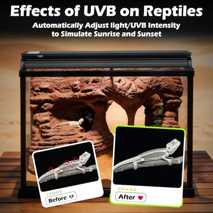 UVB Light for Reptiles 10W 15.7IN LED UVA UVB Terrarium Lamp with 4 Auto Modes for Ferguson Zones UVB Bulb with Timer for for Bearded Dragons, Leopard Gecko, Snake, Turtle & More - size: 10W-15.7IN