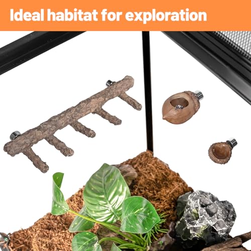 Jumping Spider Hideout and Feeding Dish, 3 in 1 Nut Shaped Hide Cave Sets for Spider Playing Feeding Climbing, Enclosure Accessories