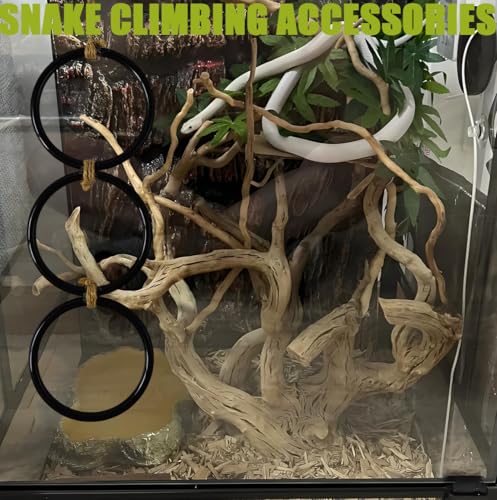 Snake Enrichment Toys Ball,Jungle Gym Ball and Enrichment Rings for Small Ball Python Corn Snakes,Reptiles Climbing Toy,Snake Exploring&Climbing Accessories