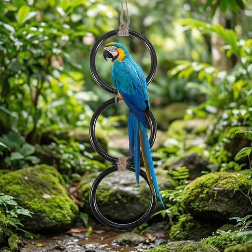 Snake Enclosure Accessories, Reptile Climbing Ring Hammock Set, Snake Tank Accessories for Ball Python, Corn Snake, Leopard Gecko, Chameleon, Lizard, Enrichment Toys Climbing Resting Perch