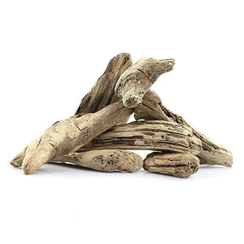 3 Pieces of 4"-6" Natural Pacific Driftwood for Aquarium Décor, Terrariums, Arts & Crafts and Reptile Habitats