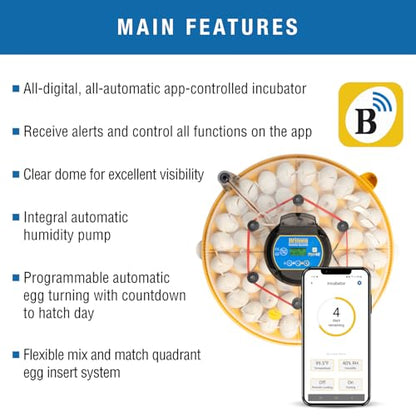 Brinsea Maxi 48 EX Connect Fully Automatic Smart Egg Incubator with App | 50+ years of innovation! Ultimate smart incubator with app-driven controls and real time alerts gives you total peace of mind