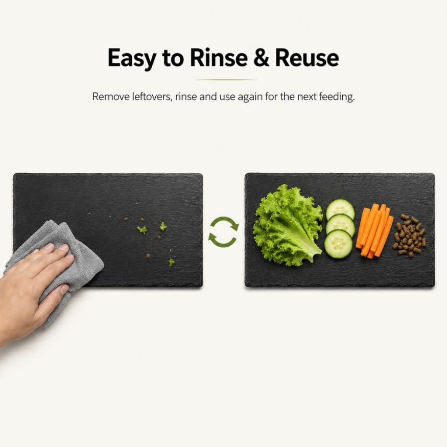 Extra Large Natural Slate Reptile Basking Platform, 15.7 x 7.9 in Rock Feeding Plate for Tortoise, Turtle & Bearded Dragon, Textured Food Dish for Natural Claw Filing, Reptile Habitat Decor