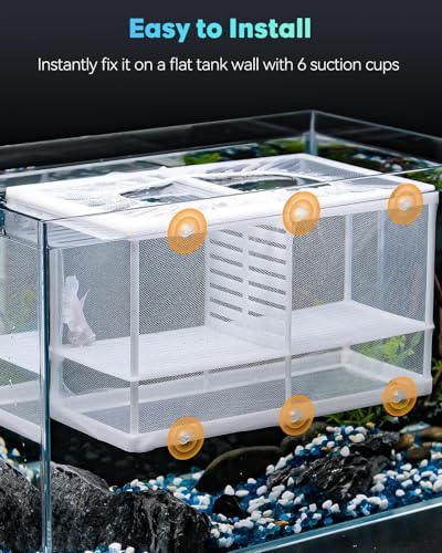 Pawfly Fish Tank Breeder Net Aquarium Fish Breeder Box with Nylon Mesh & Suction Cups, Fish Separation Net Large Isolation Box, Fish Fry Hatchery Incubator Hatching Box for Baby Fish Shrimp Betta - size: Large