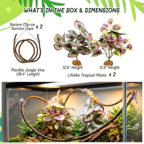 3 Pcs Reptile Terrarium Habitat Decor Kit – Realistic Artificial Reptile Plants with Hanging Vine, Resin Stone Base – Rainforest & Jungle Terrarium Setup for Gecko, Tree Frog & Amphibian Enclosure - color: Caladium Bicolor