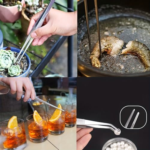 Stainless Steel Reptile Feeding Tongs Tweezers for Aquarium, Terrarium & Crafts Bearded Dragon Snake Tank Accessories, Planted Tank Tools Feeder for Lizards-5.51 Inches Curved