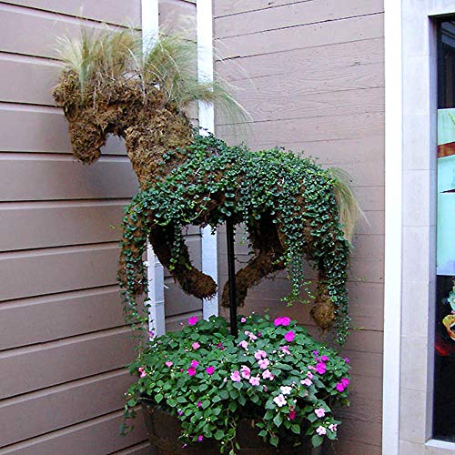 Mosser Lee ML0110 Long Fibered Sphagnum Moss, 432-Cubic Inch,Grey (Pack of 2)