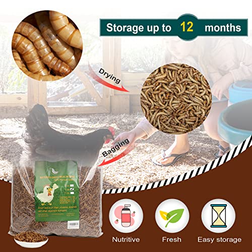 Non-GMO High-Protein Large Dried Mealworms for Chickens, Natural Grubs and Poultry Treats as Chicken Feed,Duck Food, Wild Birds Seed,Fish Food,Reptile Food,Amphibian Food(Mealworms-22LB)