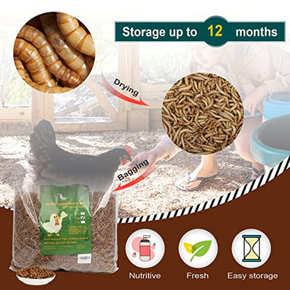 Non-GMO High-Protein Large Dried Mealworms for Chickens, Natural Grubs and Poultry Treats as Chicken Feed,Duck Food, Wild Birds Seed,Fish Food,Reptile Food,Amphibian Food(Mealworms-22LB)