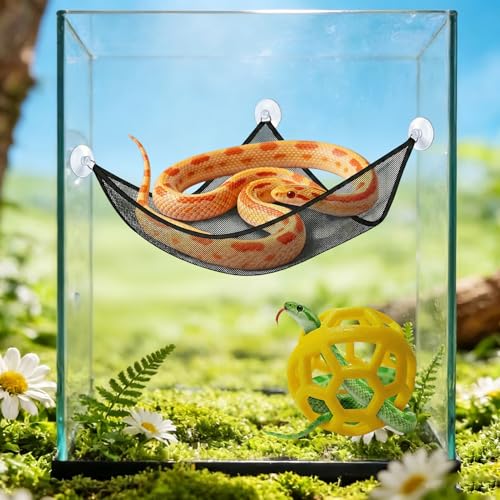 Snake Reptile Enrichment Ball & Hammock Combo, Durable Climbing Gym with Secure Chain - Fun Exercise & Resting Toy for Small Pet Snakes Including Pythons & Iguanas, Anoles, Geckos, Snakes, Chameleon