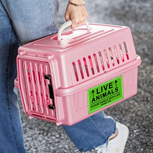 Live Animals Stickers for Pet Crate – 250Pcs Fluorescent Handling Labels for Pet Shipping, Airline Cargo, Breeder Transport, Animal Rescue & Veterinary Clinic – Please Handle with Love