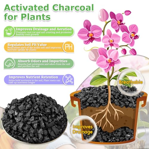 12QT All Natural Horticultural Charcoal- Activated Hardwood Plant Charcoal for Soil Amendment, Conditioning Bonsai Soil, Succulent, Terrarium Supplies, Indoor Plant Potting Soil - color: 12 QT