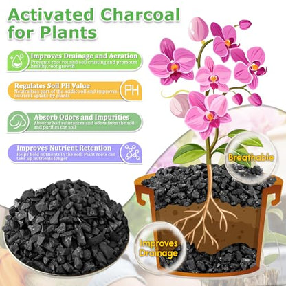 12QT All Natural Horticultural Charcoal- Activated Hardwood Plant Charcoal for Soil Amendment, Conditioning Bonsai Soil, Succulent, Terrarium Supplies, Indoor Plant Potting Soil - color: 12 QT