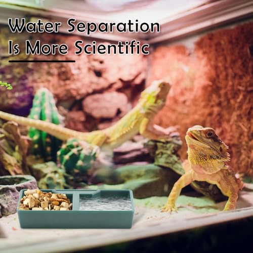 10 Pack Reptile Food and Water Bowl Set with 2 Compartments Feeding Tray for Lizards Geckos Frogs Turtles and Hermit Crabs (Green)
