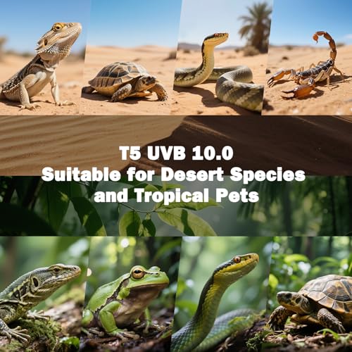 T5 10.0 UVB Reptile Light Fixture, 39W 34" for Bearded Dragon | Combo kit with stand & hood. 39W 34" T5 10.0 UVB/UVA. For bearded dragons, tortoises, lizards & amphibians. - size: T5-34"-Fixture