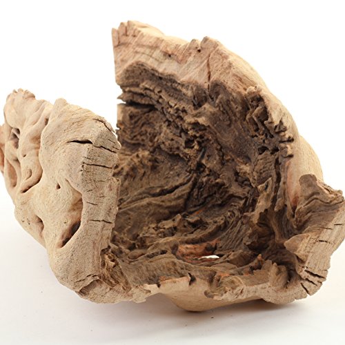 Koyal Wholesale 10" Hollow Grapewood Branch Decor 1Pcs Grapewood Centerpiece Vase Air Plants Sand Blasted Grapevine Wood Untreated Terrarium Wood Driftwood Decor