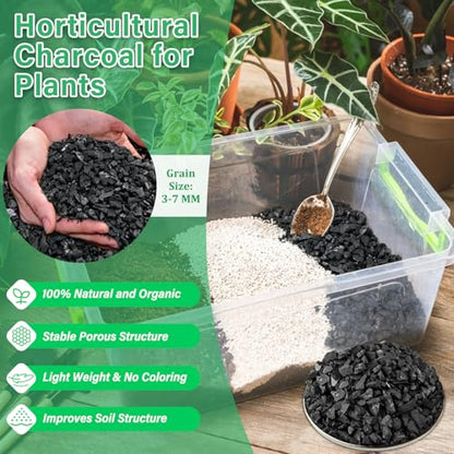 6QT All Natural Horticultural Charcoal- Activated Hardwood Plant Charcoal for Soil Amendment, Conditioning Bonsai Soil, Succulent Soil, Terrarium Supplies, Indoor Plant Potting Soil - color: 6 QT