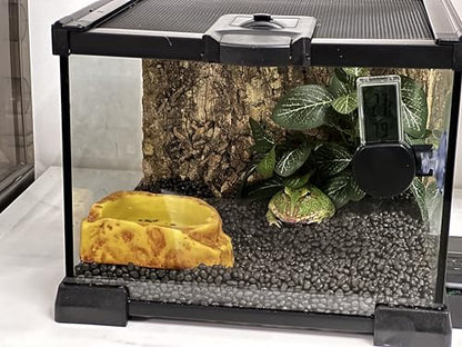 AWXZOM Mini Reptile Glass Terrarium Tank, cage for Tarantula Sling Geckos, Frog, Lizards, Chameleons,Turtles Snake Snail Insect Hermit Crab Isopods Reptiles Enclosure (7.9x7.9x5.7inch) - size: 7.9x7.9x5.7inch