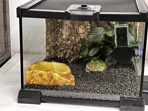 AWXZOM Mini Reptile Glass Terrarium Tank, cage for Tarantula Sling Geckos, Frog, Lizards, Chameleons,Turtles Snake Snail Insect Hermit Crab Isopods Reptiles Enclosure (7.9x7.9x5.7inch) - size: 7.9x7.9x5.7inch