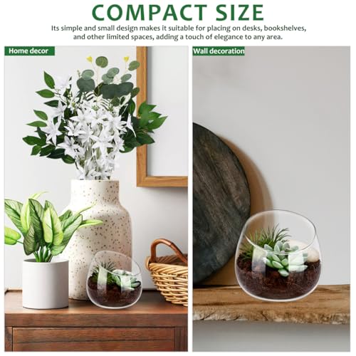 Homoyoyo Clear Glass Terrarium Bowl Vase Slanted Mouth Decorative Bowl for Succulents Moss Air Plants Small Indoor Planter for Desks Bookshelves Home Centerpieces 4.72 X 4.33 X 3.93 in