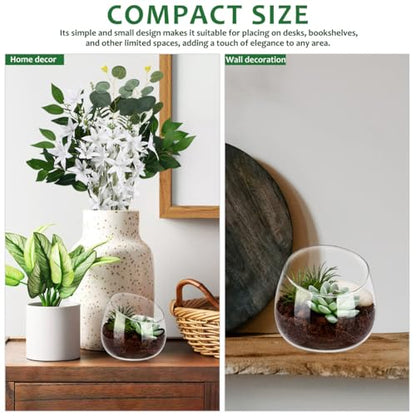 Homoyoyo Clear Glass Terrarium Bowl Vase Slanted Mouth Decorative Bowl for Succulents Moss Air Plants Small Indoor Planter for Desks Bookshelves Home Centerpieces 4.72 X 4.33 X 3.93 in