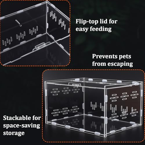 Kathfly 13 Pcs Mini Reptile Terrarium Starter Kits, 12x8x6'' Insect Amphibians Reptile Tank Insect Habitat Cage Acrylic Tank Hidden Shell Heat Lamp Hammock and Other Accessories for Fish Turtle Spider
