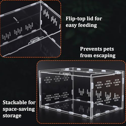 Kathfly 13 Pcs Mini Reptile Terrarium Starter Kits, 12x8x6'' Insect Amphibians Reptile Tank Insect Habitat Cage Acrylic Tank Hidden Shell Heat Lamp Hammock and Other Accessories for Fish Turtle Spider