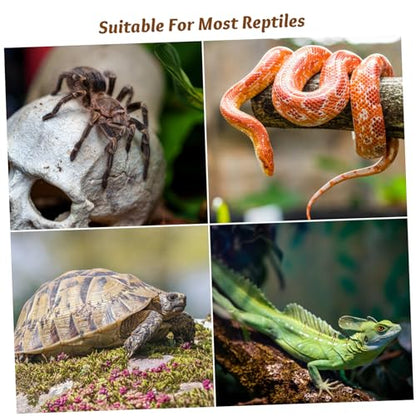 Garneck 6pcs Turtle Tank Latch Reptile Terrarium Lock Buckles Escape Clips for Glass Aquariums Easy Installation for Turtle Habitat