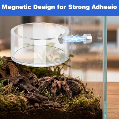 Jumping Spider Feeding Dish Set, Water Bowl with Tweezer, Reptile Feeding Dish Tongs, Water Dispenser Enclosure Jumping Spider Accessories