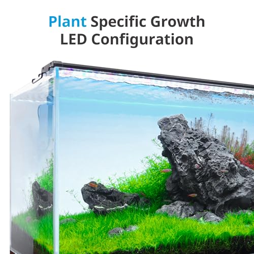 NICREW ClassicLED Plus LED Aquarium Light with Timer, 32 Watts, for 48 to 54 Inch Fish Tank Light, Daylight and Moonlight Cycle - size: 48 - 54 in