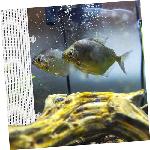 TOYANDONA 2pcs Aquarium Isolation Boards for Fish Tank Jumping Covers Cups Prevents Fish Escape for Safe