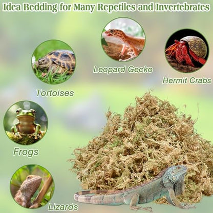 Sphagnum Moss for Reptiles, 3.5 oz Natural Terrarium Bedding Substrate | Long-fibered Sphagnum Moss for Reptile, Holds Humidity for Bearded Dragons, Geckos, Snakes, Turtles, and Hermit Crabs - size: 3.5oz