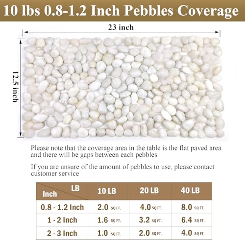 FANTIAN 10 lbs White Pebbles for Indoor Plants, 0.8-1.2 Inch Small White River Rocks Stones for Planters, Vases, Fish Tank, Garden, Landscaping, Top Dressing and Bottem Drainage - size: 0.8-1.2 Inch, style: 10 Pounds