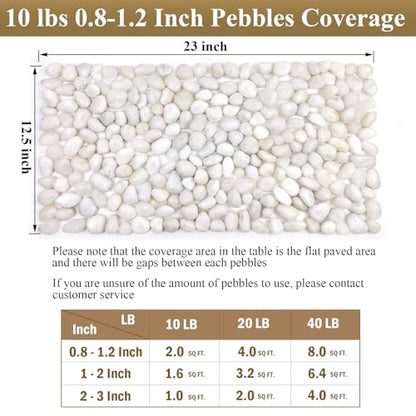 FANTIAN 10 lbs White Pebbles for Indoor Plants, 0.8-1.2 Inch Small White River Rocks Stones for Planters, Vases, Fish Tank, Garden, Landscaping, Top Dressing and Bottem Drainage - size: 0.8-1.2 Inch, style: 10 Pounds