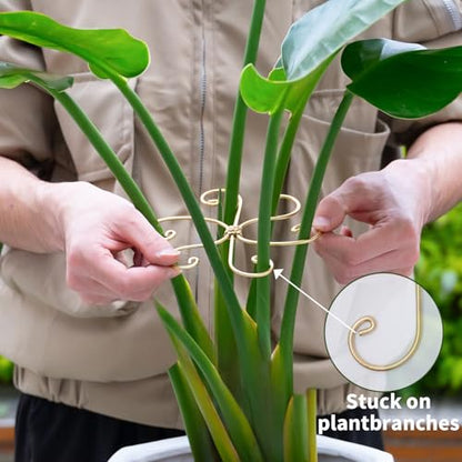 5PCS Monstera Plant Support Hooks - 6.5" Durable Metal Stabilizers | 5Pcs Gentle Leaf Holder for Monstera & Fishbone Cactus - Plant Accessory for Indoor Gardening - Perfect Gardening Gifts - size: 6.5 x 6.5 inches
