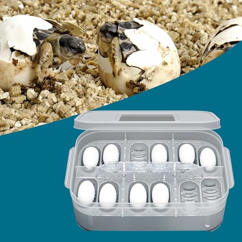 Clear Incubator Transparent Floating Design 12 Grids Reusable | Snake Incubation Box 12 Grids Transparent Floating Design Reusable Clear Incubator Box Incubation for Frog Snake Lizard