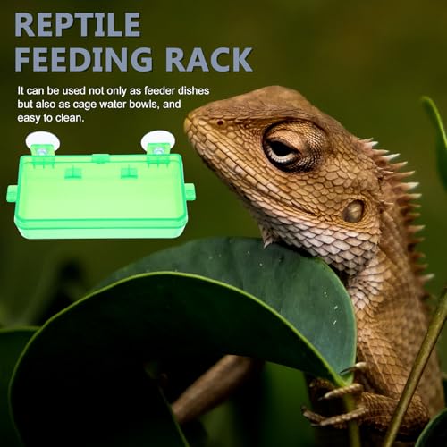Toddmomy Escape-Proof Reptile Feeding Box and Reusable Lizard Food Dish, Small Green Reptile Water Bowl for Geckos, Bearded Dragons, and Lizards, 2pcs Set for Terrarium Use