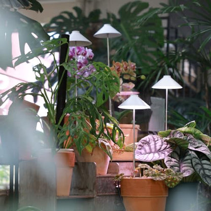MiniSun LED Indoor Plant Grow Light Full Spectrum, Height-Adjustable Stand, USB-Powered 5V Low Voltage, 2 Pack