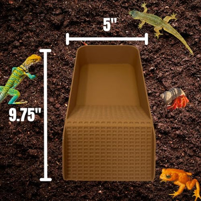 Hermit Crab, Lizard, Turtle, Amphibian XL Watering Pool | Platform Pool Accessory with Access Ramp for Pet Habitats | 9.75" x 5" | Made in USA (X-Large) (Fresh Only, Tan) - color: Fresh Only, Tan