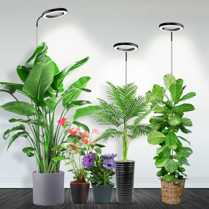 Plant Light, Full Spectrum Grow Light, 65'' Height Adjustable 3Pack | 6000K Grow Light, 3 Colors Modes, 5 Dimmable Levels, 6/12/16H Timer, Soil Insert, for Large Plants - size: Black-3Pack