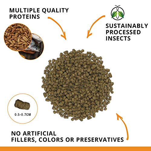 Fluval Bug Bites Goldfish Fish Food, Pellets for Medium to Large Sized Fish, 3.53 oz, A6584 | Pellets for Medium to Large Sized Fish - size: 3.5 Ounce (Pack of 1)