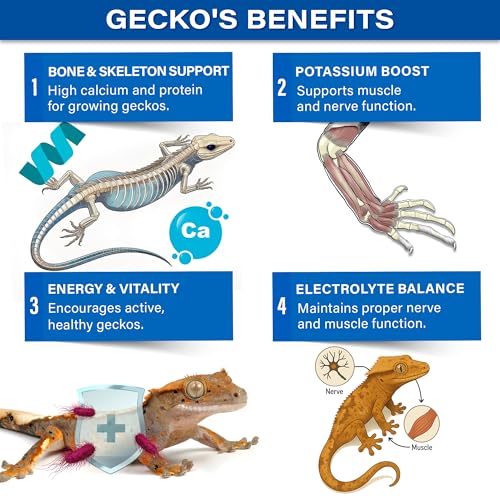 Gargeer 2.4oz Picky Geck 8 Sachet Flavours Crested Gecko Food Discovery Kit | Stop wasting food! Test 8 gourmet sachet flavors to win over picky geckos. Probiotic-infused, clean-label fruit & insect diet - size: 0.3 Ounce (Pack of 8)