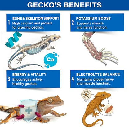 Gargeer 2.4oz Picky Geck 8 Sachet Flavours Crested Gecko Food Discovery Kit | Stop wasting food! Test 8 gourmet sachet flavors to win over picky geckos. Probiotic-infused, clean-label fruit & insect diet - size: 0.3 Ounce (Pack of 8)