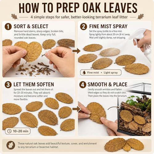 MAQIHAN 5oz Oak Leaf Litter - Dry Substrate for Reptiles Isopod & Bioactive | Whole Natural Oak Leaves for Terrarium, Forest Floor Habitat, Premium Enclosure Bedding for Snake, Frog, Gecko, Lizard - size: 5 OZ